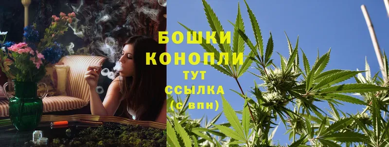 Каннабис OG Kush  как найти   Котовск 